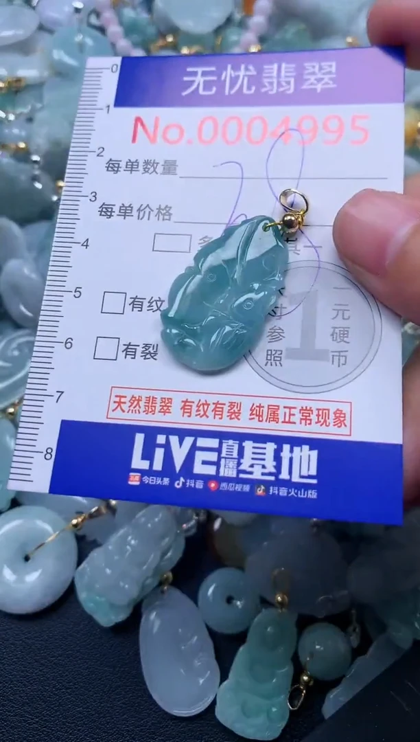 颈饰未镶嵌翡翠4995