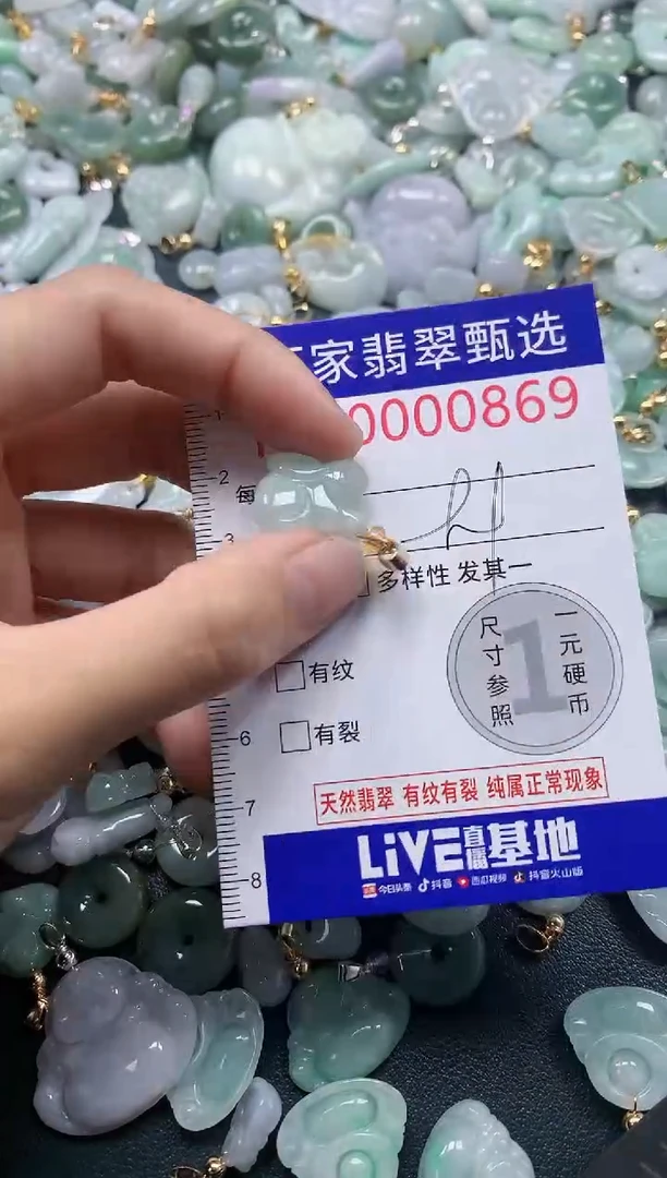 吊坠(不含链)未镶嵌翡翠0869