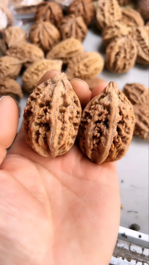 核桃东北野生大秋子1