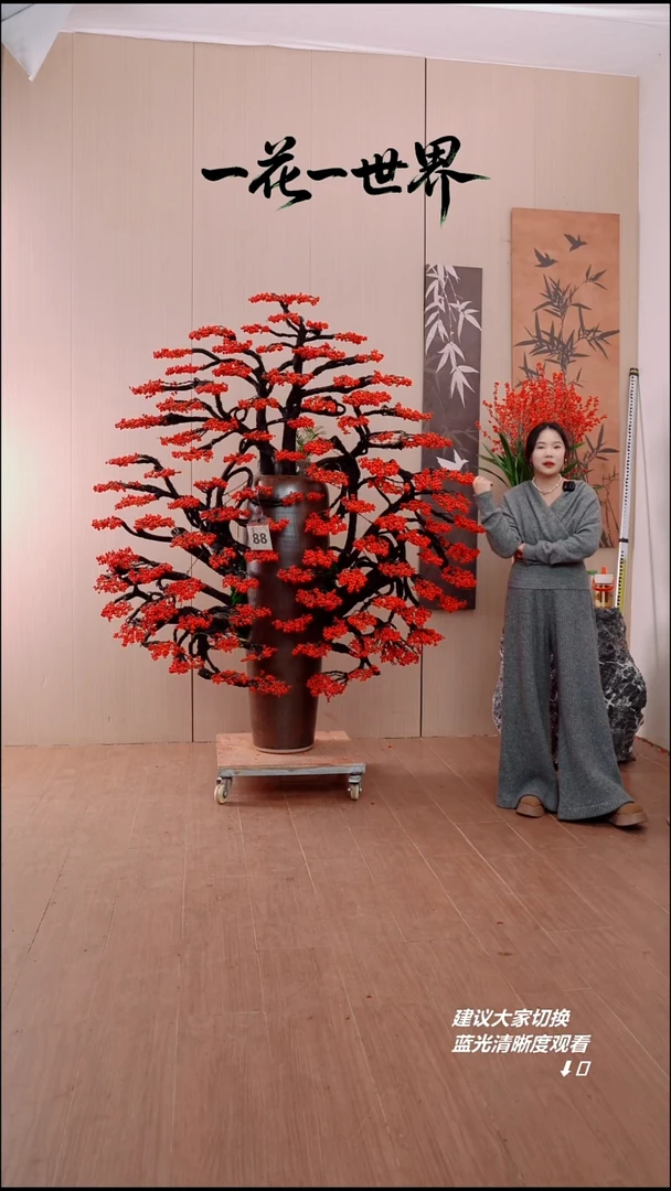 完全开放风**涌北美冬青链接88