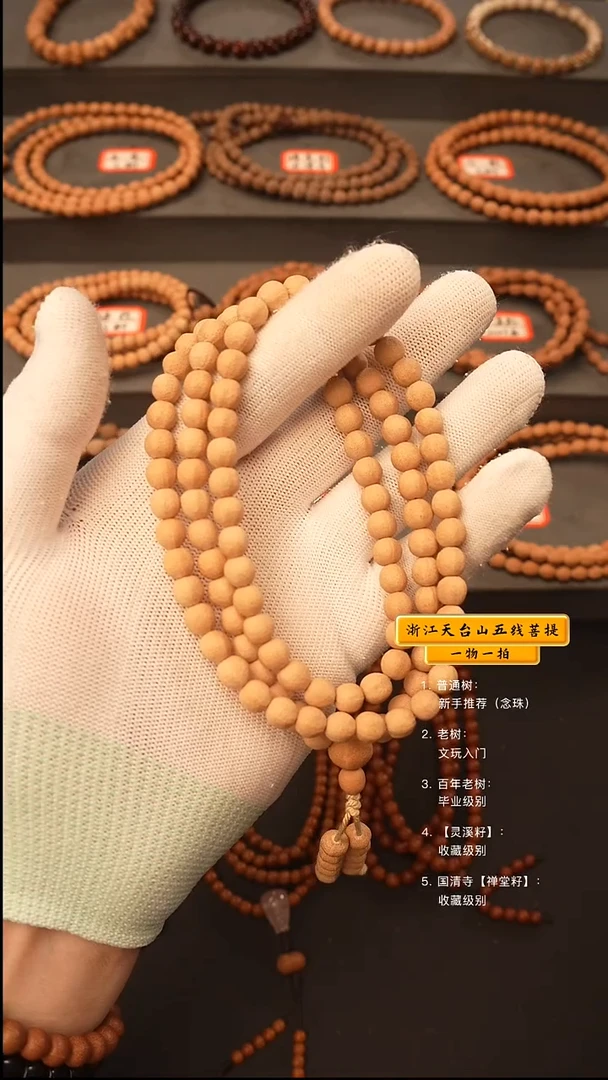 吊坠五线菩提大****4y脖挂