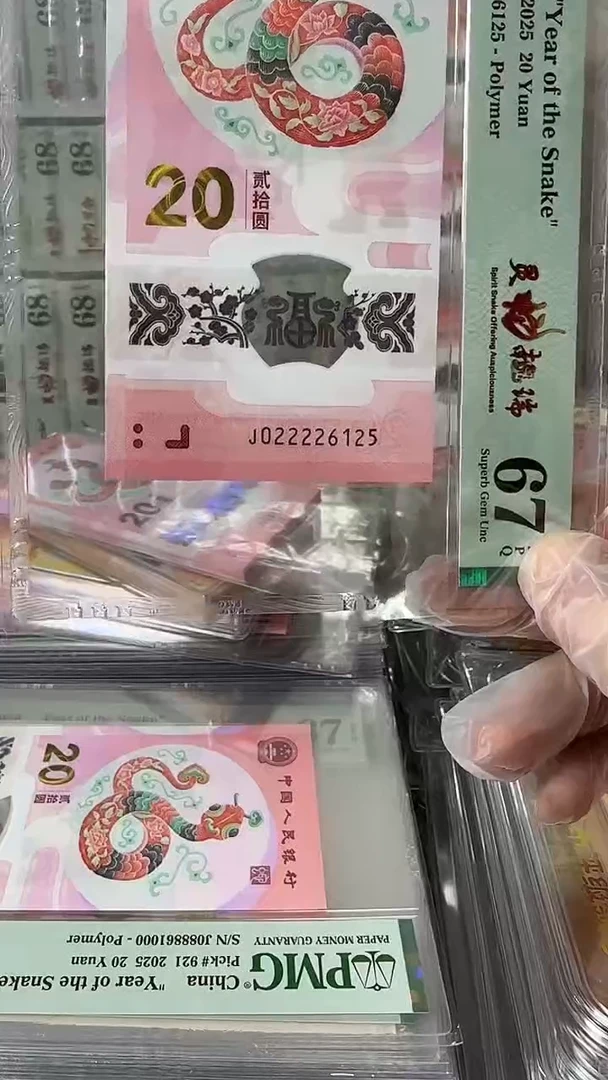 塑料022226125-蛇钞单张