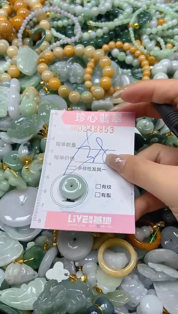 翡翠未镶嵌颈饰闪购0248853多样性发其一