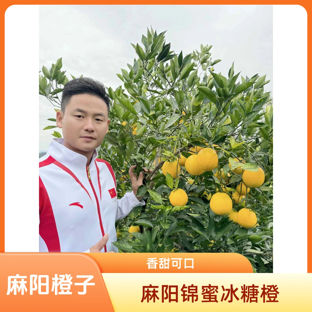 【冠军欧华文推荐】怀橘一号 纯甜无酸当季水果现摘现发 9斤