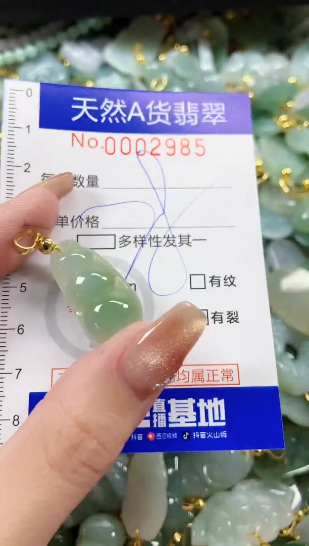 颈饰未镶嵌翡翠天然A货翡翠