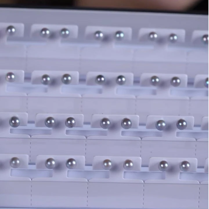 SG10277丨海水Akoya真多麻耳钉7-8mm S925银 多样性/发一