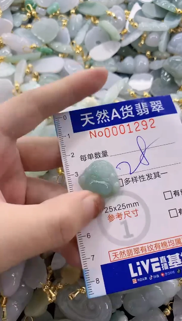 颈饰未镶嵌翡翠天然A货翡翠