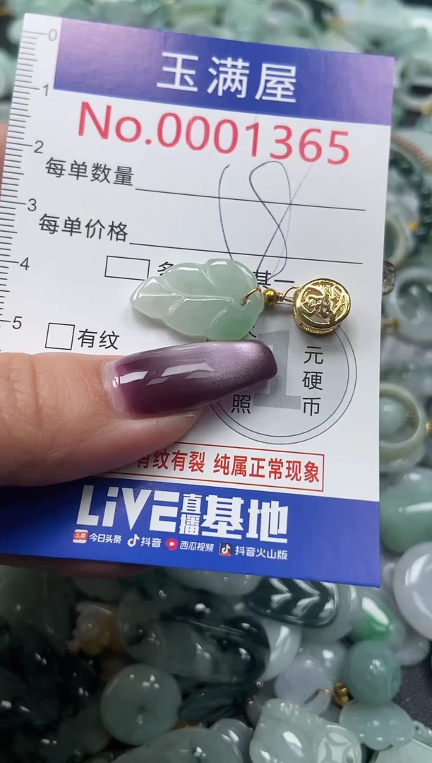 颈饰未镶嵌翡翠1365