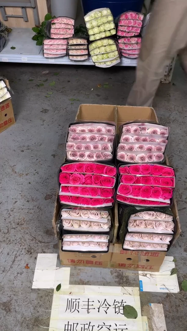 曼塔20枝+佛洛依德20枝+乌梅子酱20枝