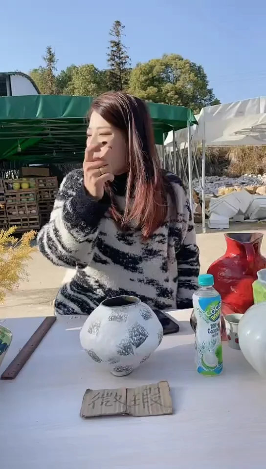 【闪购商品】陶瓷景德镇手工陶瓷微瑕介意勿拍