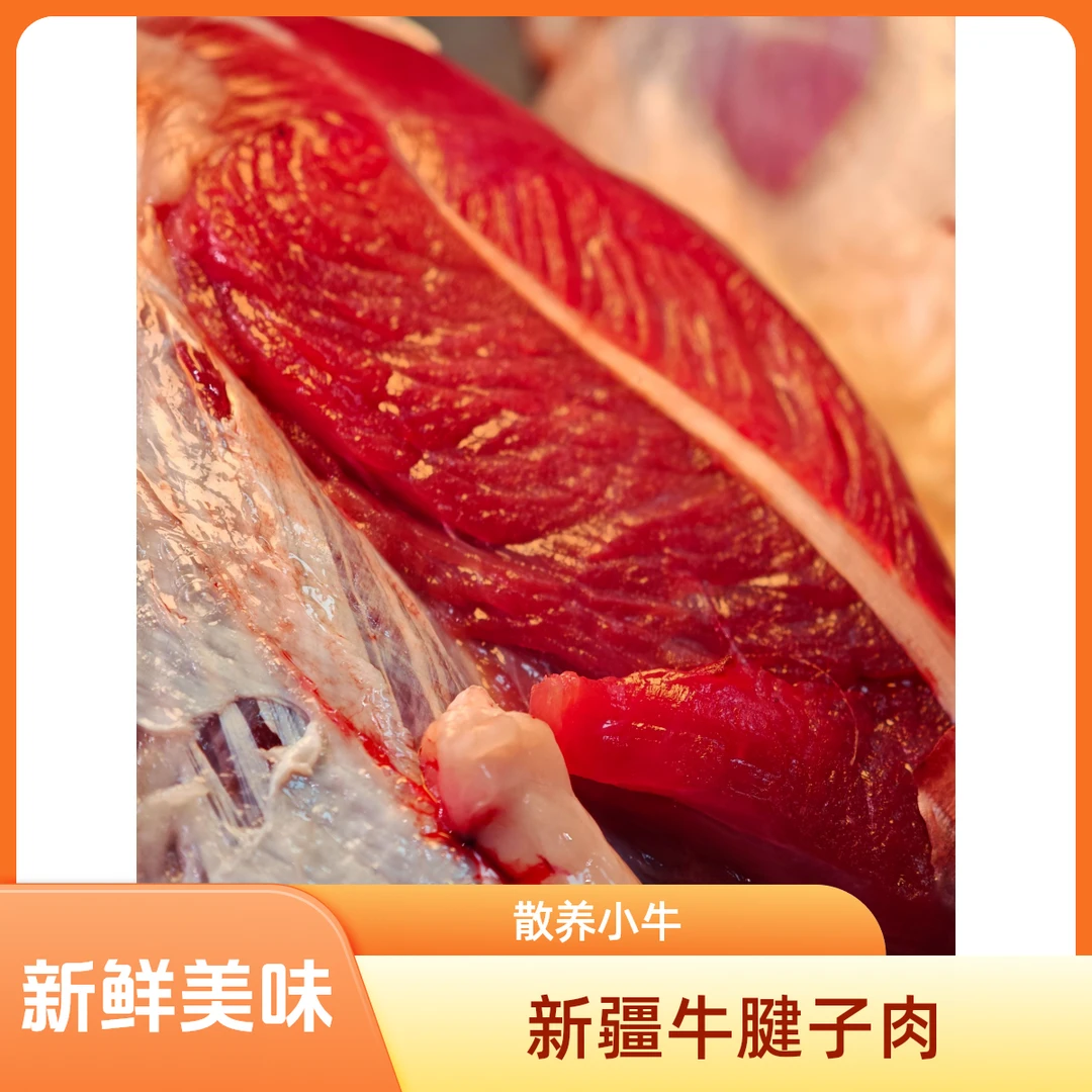 新疆阿勒纯散养小公牛新鲜牛腱子肉 美味食材 精包装 包邮 腱子肉