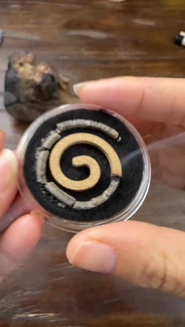 【闪购商品】盘香1号 香港仔老紫棋 10片