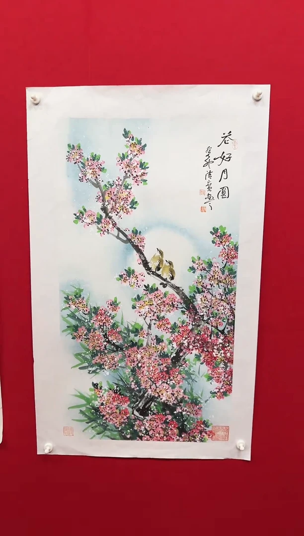 国画宣纸/书画/绘画/国画