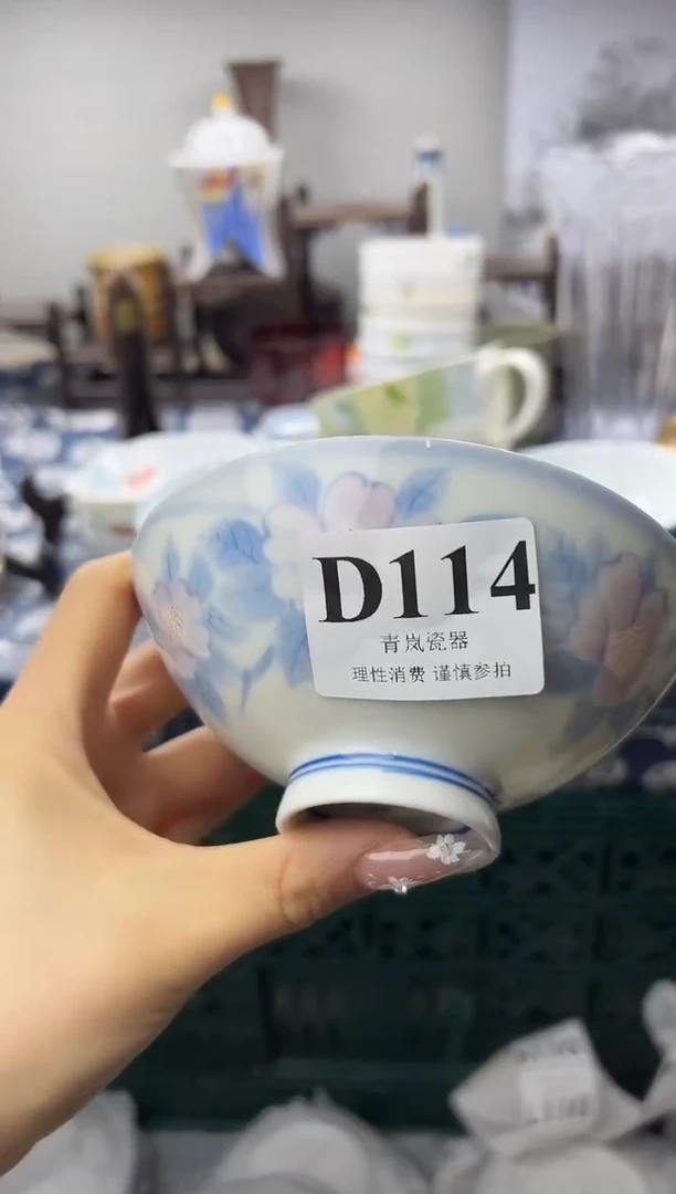 瓷片       D114