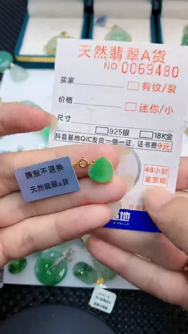 【闪购商品】翡翠颈饰18K金镶嵌            8
