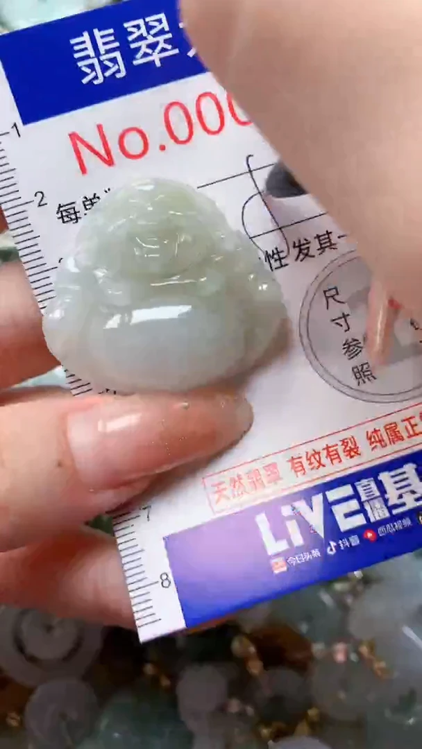 翡翠未镶嵌吊坠(不含链)5831