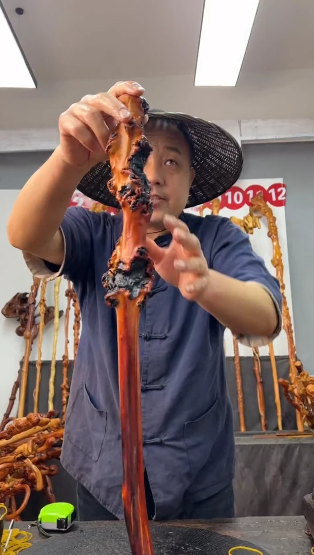 【闪购商品】黑果木其他黑果木236