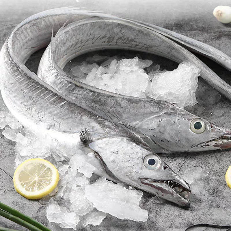 【中大号带鱼5-6两/条 】东海深海雷达网带鱼-整条带鱼（急冻锁鲜）