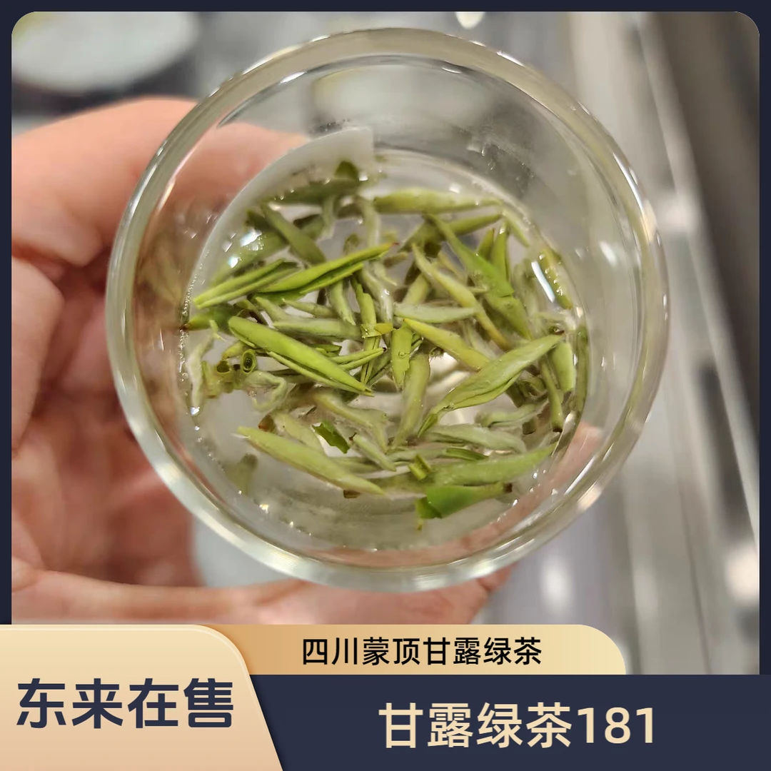 DL许昌茶叶超市新茶蒙顶绿茶甘露绿茶181口粮茶包邮