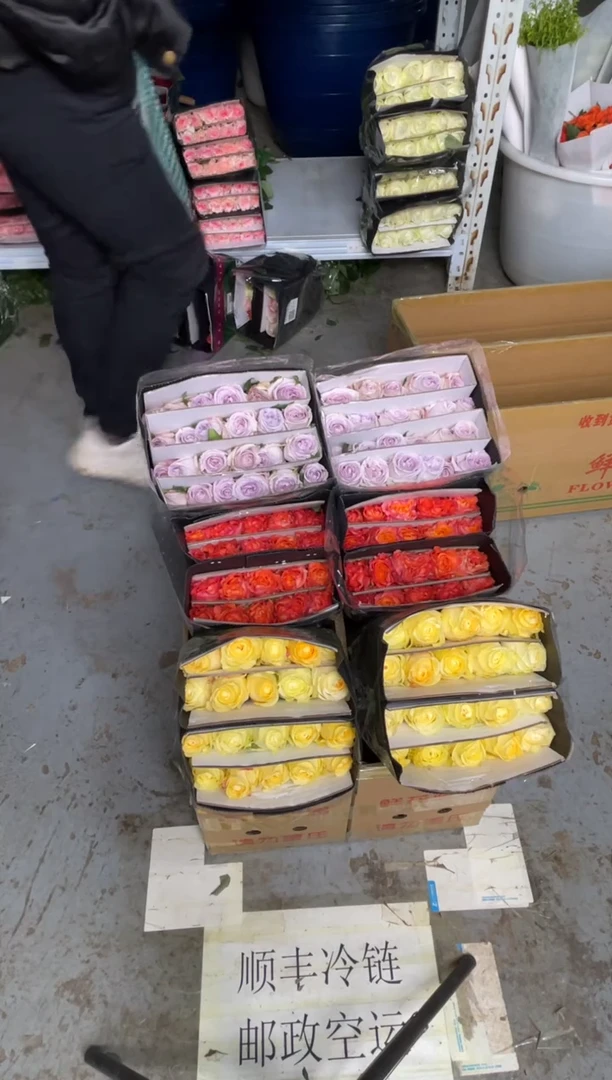 奶油杯20枝+火灵鸟20枝+紫荔枝20枝