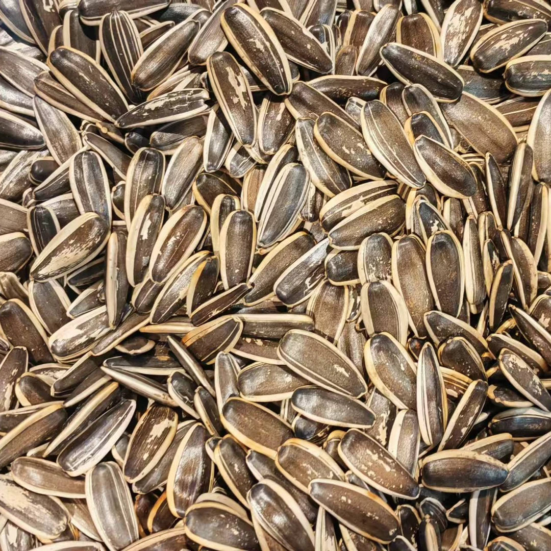 无品牌散称生脆瓜子