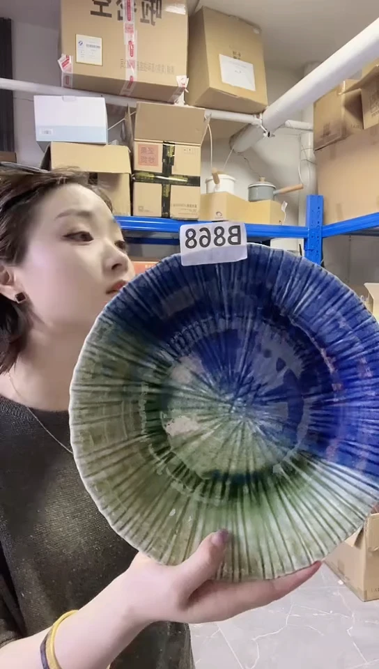 瓷片日本进口瓷器绿织布25cm盘B868