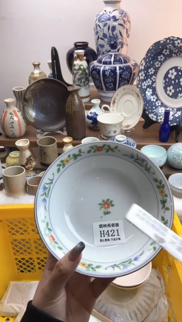 【闪购商品】瓷片421严重脱色低价处理无售后