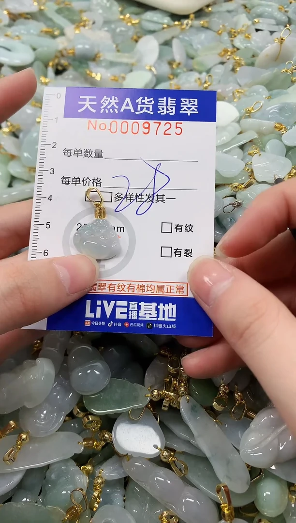 颈饰未镶嵌翡翠纯天然a货翡翠