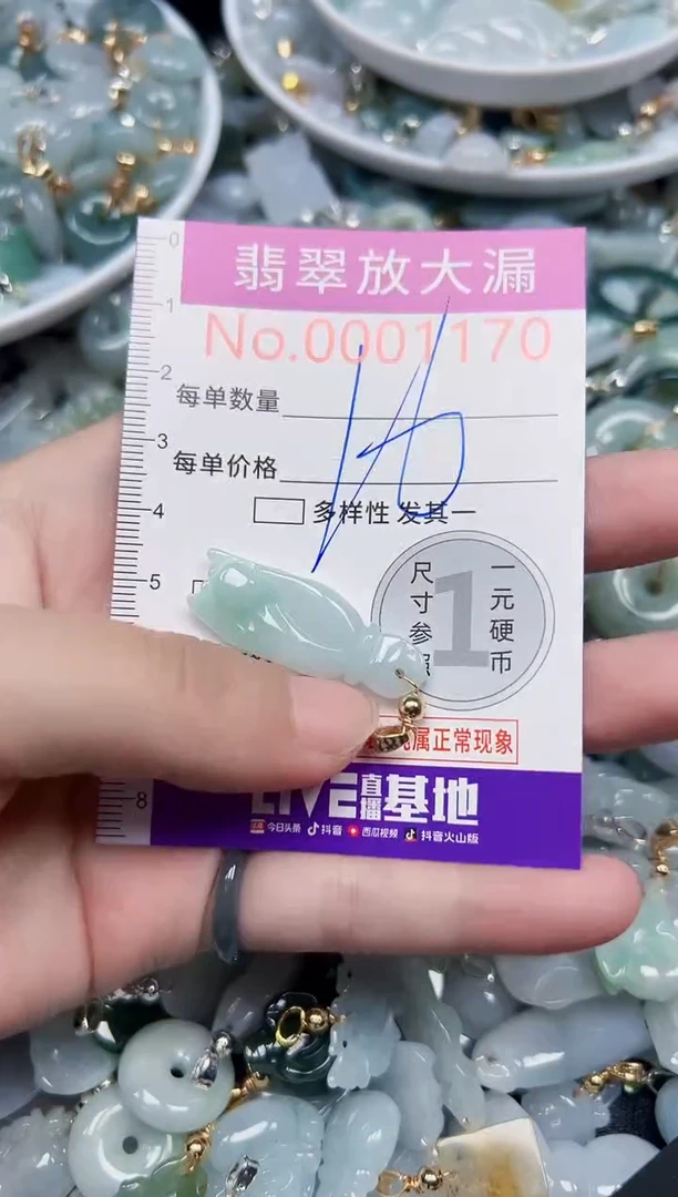 颈饰未镶嵌翡翠1170