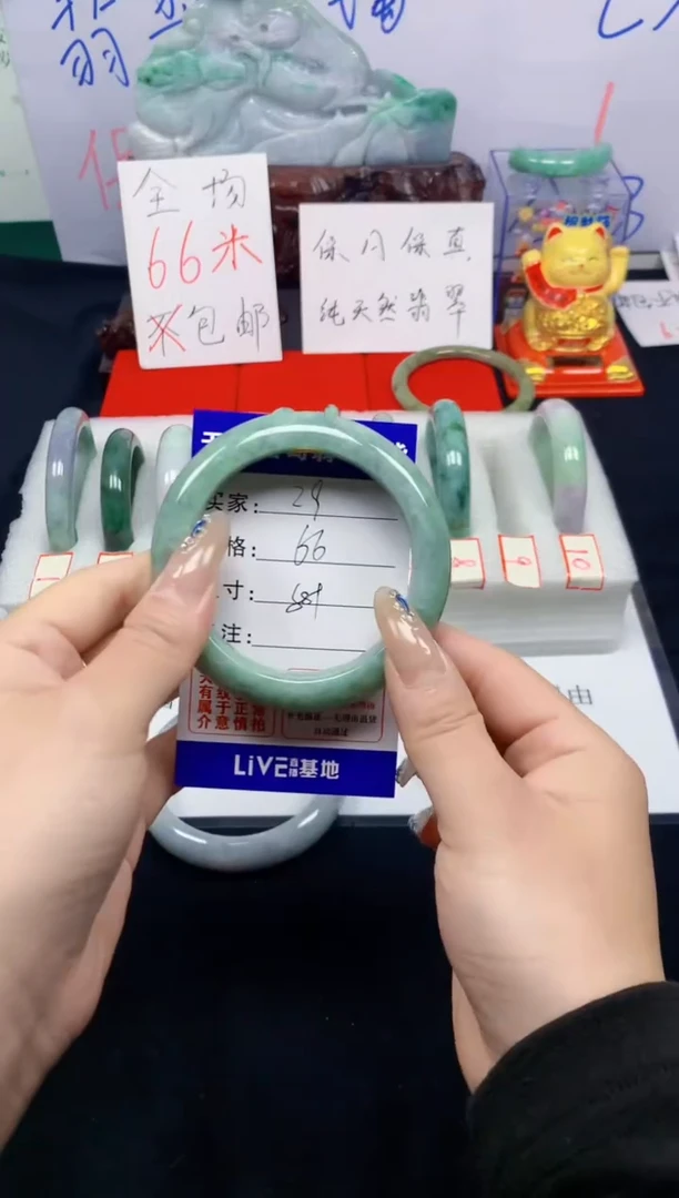 未镶嵌手镯翡翠29