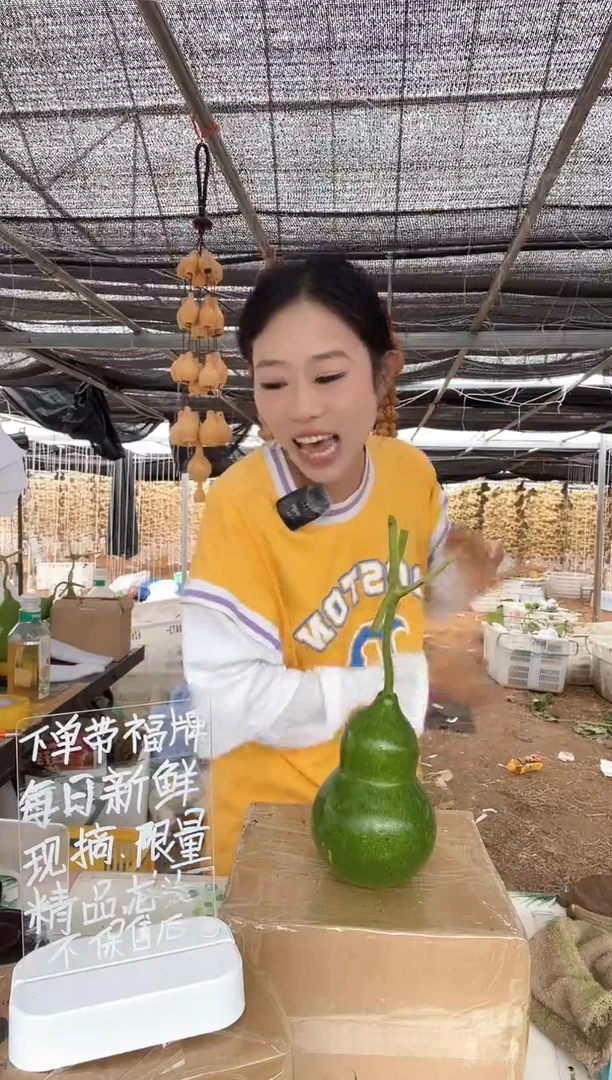 272天然葫芦摆件 一物一拍龙头不保售后