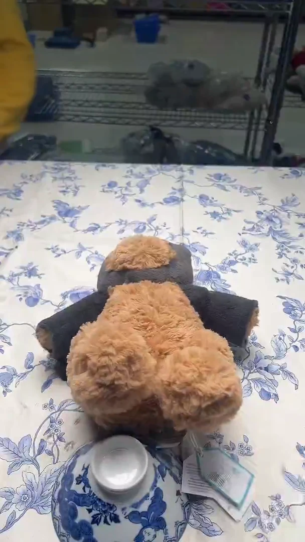 瓷片黑**李如图所示如图所示