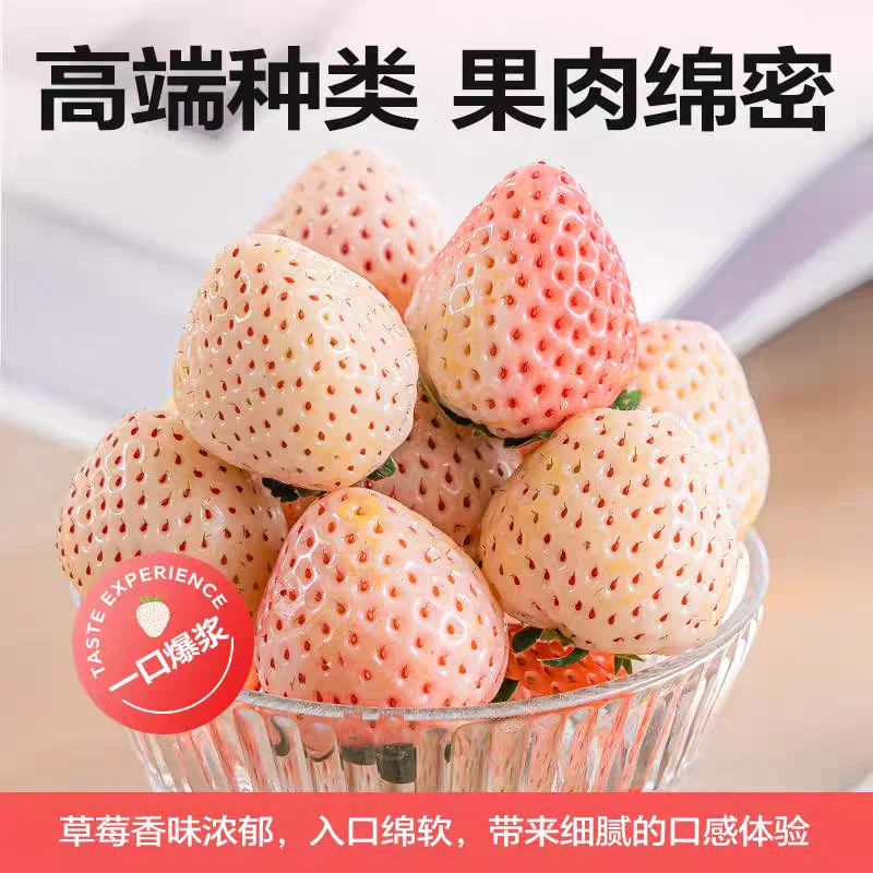 丹东淡雪草莓毛重3.6斤左右一箱淡雪草莓中国大陆