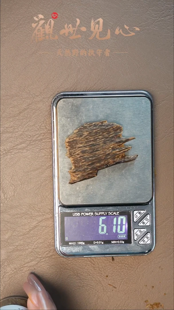 沉香沉香碎屑财****?越南正芽庄钉壳料  6.1g