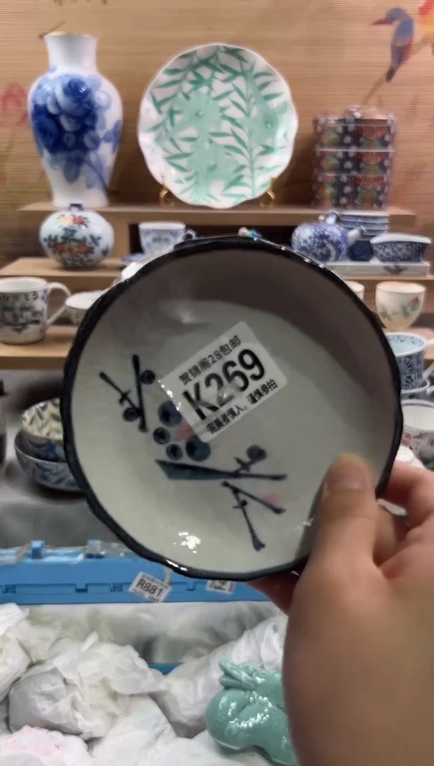 瓷片         K269