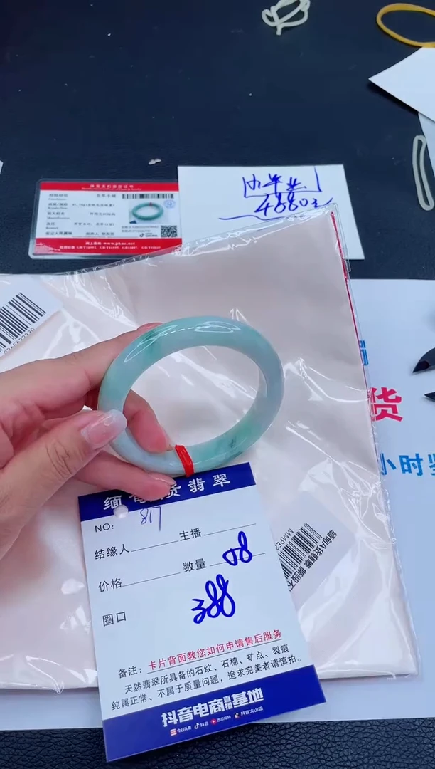 未镶嵌手镯翡翠388
