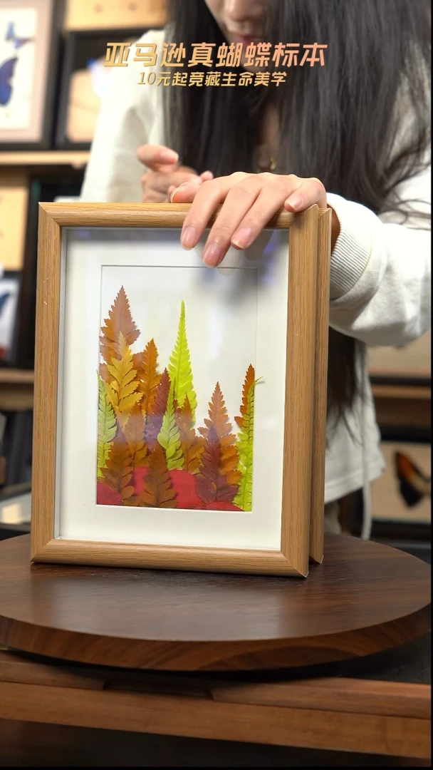 干制植物标本摆件秋