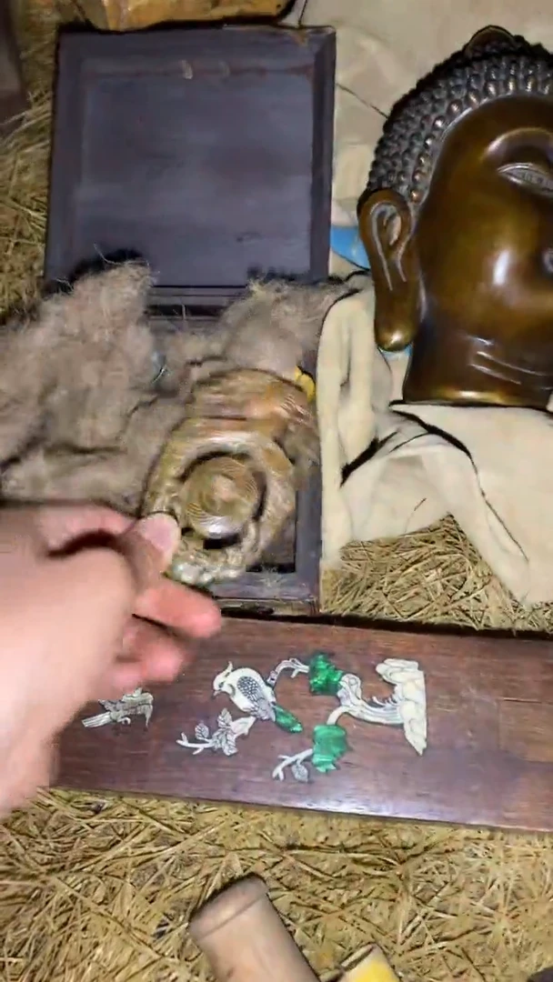 香榧木福利一一一优选