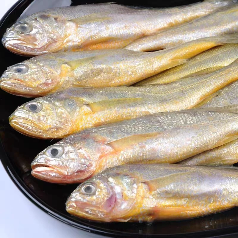 正宗野生东海小黄鱼10-12条/斤装冷冻发货
