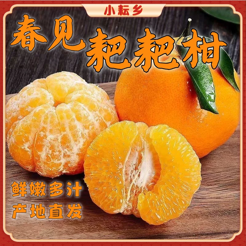 正宗四川春见耙耙柑橘子当季丑橘八怪新鲜水果产地直发