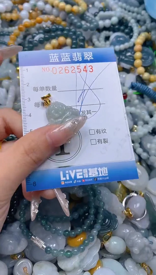 翡翠未镶嵌颈饰闪购0262543