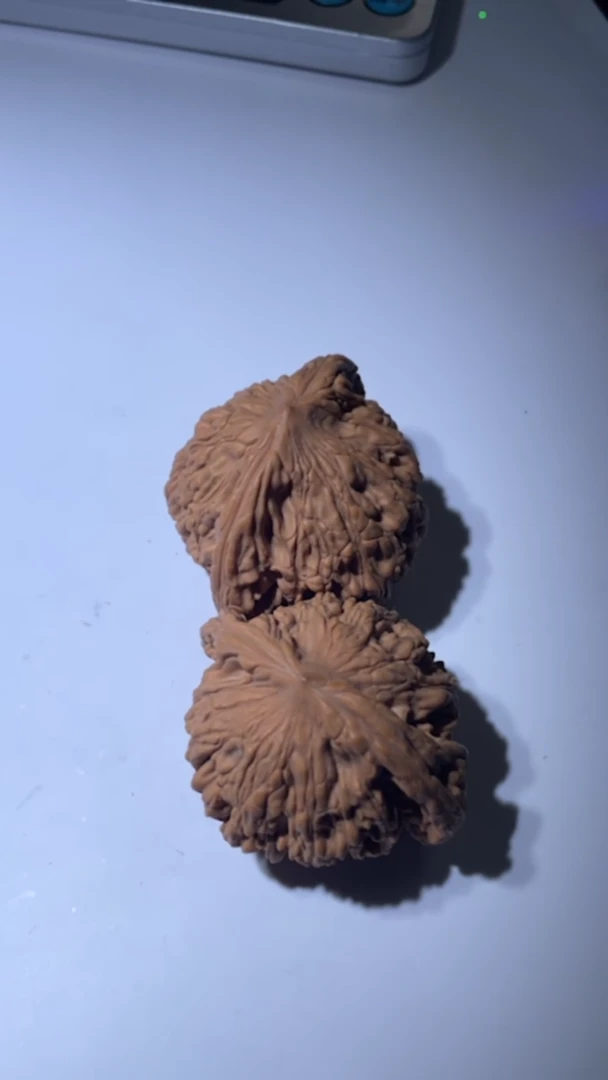 【闪购商品】文玩核桃把件1820-83-1