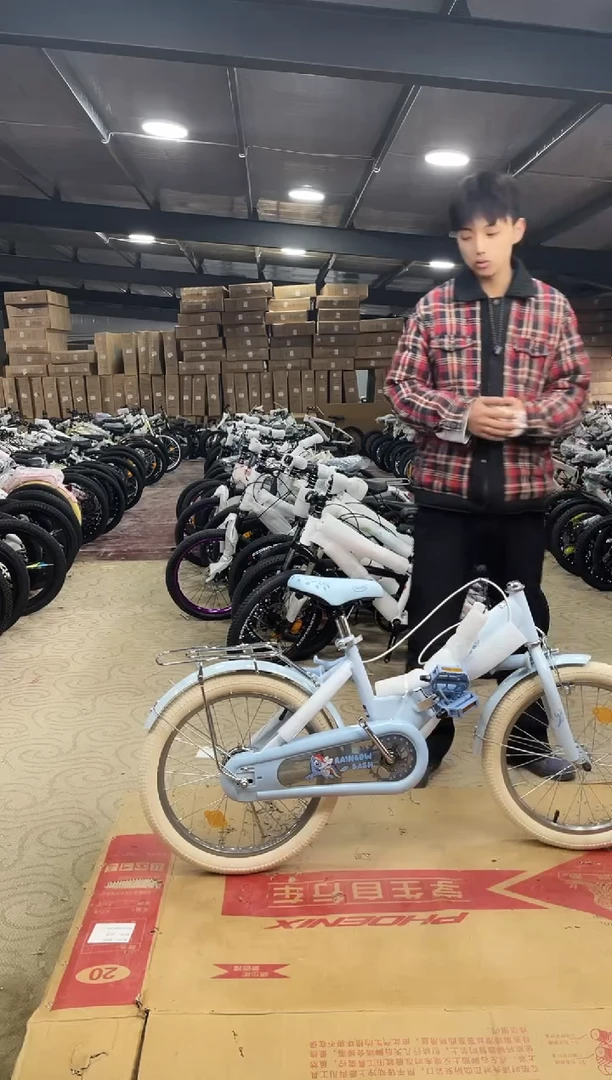 迪18寸-单速-蓝-座【微瑕运损，不退不换】