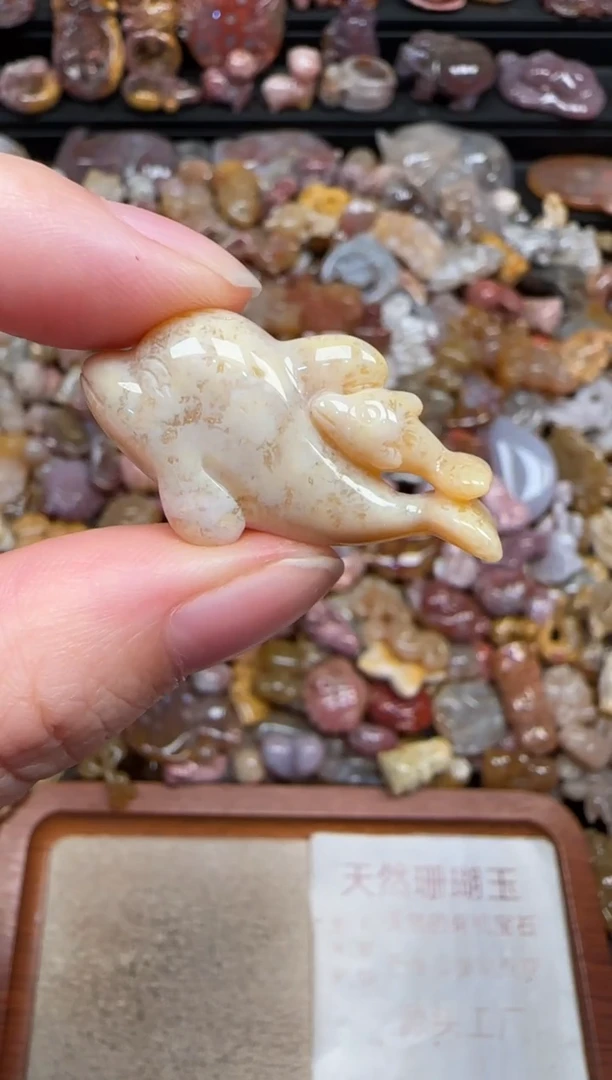 颈饰未镶嵌硅化珊瑚（珊瑚玉）275