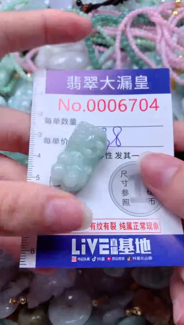 翡翠未镶嵌吊坠(不含链)6704