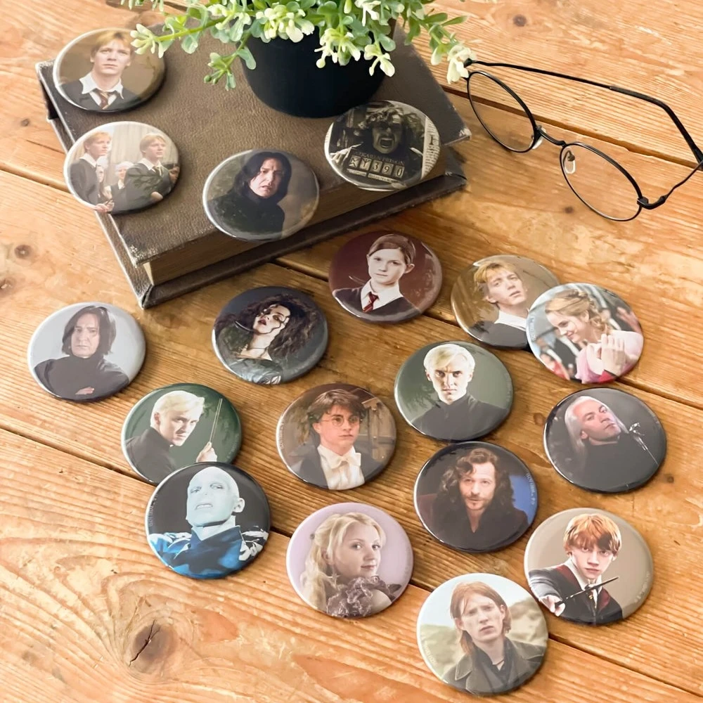 哈利波特  Flapper大阪场贩吧唧盲盒