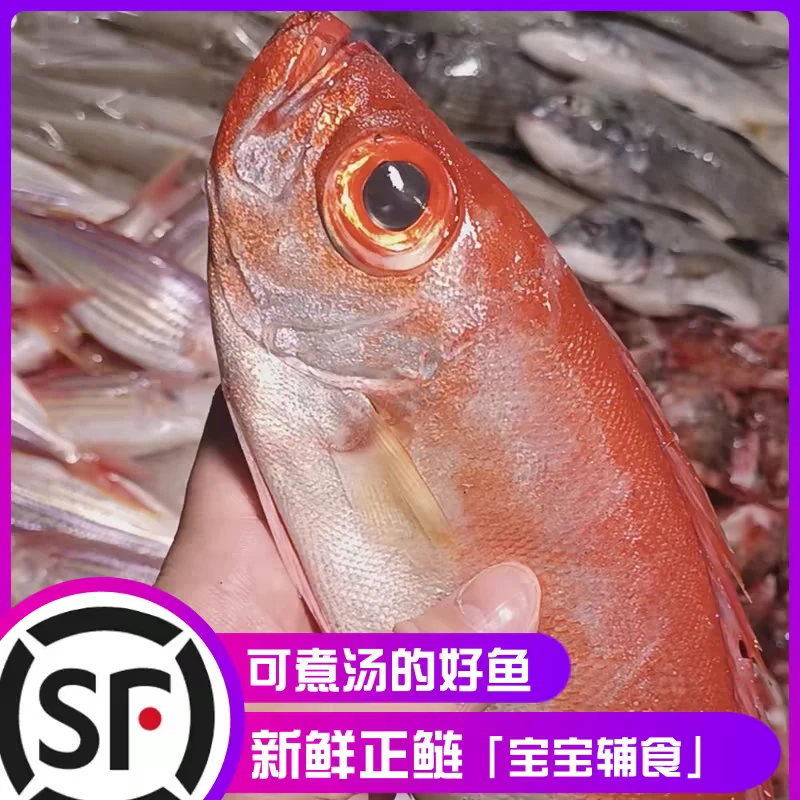 原条4-5条一斤 新鲜大眼鲷鱼 三斤装 真空包装 速冻顺丰包邮