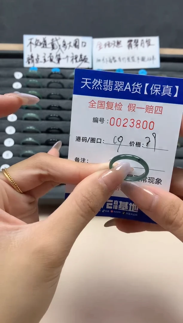 【闪购商品】翡翠戒指未镶嵌天然23800