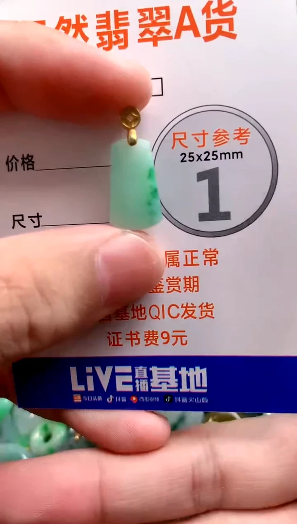 颈饰未镶嵌翡翠14003834