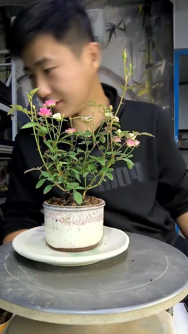 至*中青园艺一物一拍139